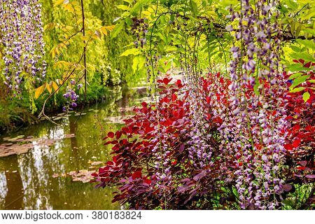 Gardens Of Painter Claude Monet In Giverny, France