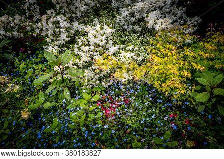 Gardens Of Painter Claude Monet In Giverny, France