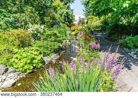 A Flower Garden And Stram In Seatac, Washington.