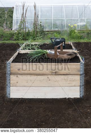 Raised Beds Made From Pallet Collars  On A Small Holding Allotment  Showing Fresh Compost And Newly 