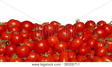 Pomodori rossi