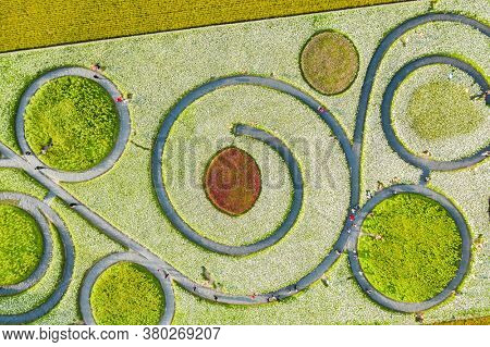 Daxi, Taiwan - November 14th, 2019: aerial view of garden in Daxi event of Taoyuan Flower Festival in Taoyuan, Taiwan, Asia