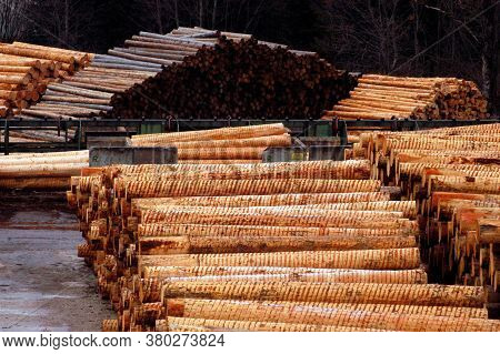 Wood Storage In The Industry