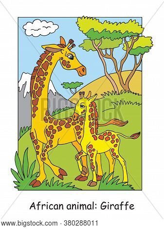 Vector Coloring Pages With Cute Giraffe Family In African Area. Cartoon Isolated Colorful Illustrati