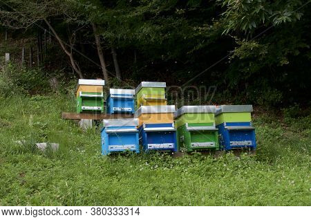 View Of Some Colorful Beehives Located Near A Woodland In The Capriasca Valley In The Canton Ticino,