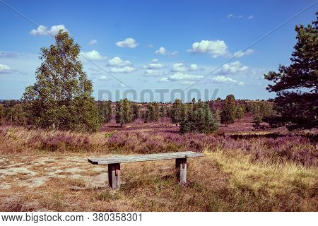 Holiday In Germany. Beautiful View With Park Bench In The Lüneburg Heath Nature Park (nature Reserve