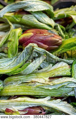 Fresh Buds And Artichoke Leaves. Background Of Fresh Artichokes. Italian Vegetables At The Bazaar.