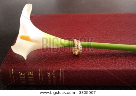 Simbolo di un matrimonio