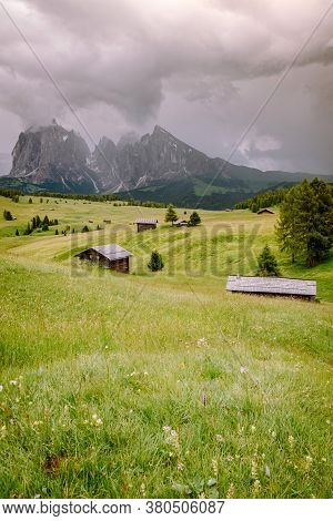Alpe Di Siusi - Seiser Alm With Sassolungo - Langkofel Mountain Group In Background At Sunset. Yello