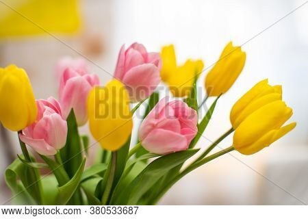 Spring Background. Delicate Fresh Bouquet Of Tulips, Close Up. Pink And Yellow Arranged In Vase, On 