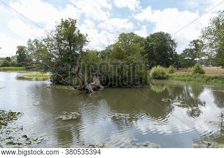 A Close Up View Of A Pond Or Lake In A Open Garden