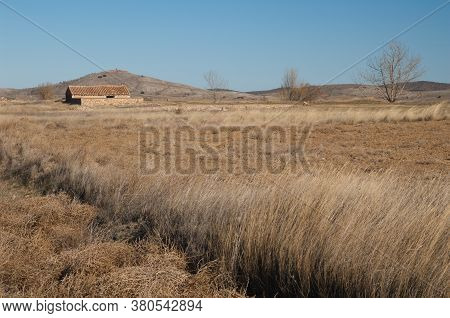Rural landscape in the Gallocanta Lagoon. Aragon. Spain.