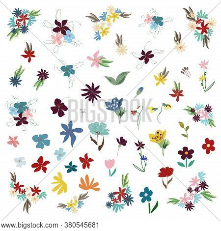 Big Set Botanic Blossom Floral Elements. Branches, Leaves, Herbs, Wild Plants, Flowers. Garden, Mead