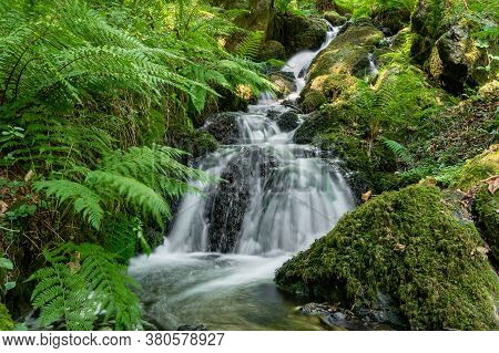 Long Esposure Of A Fresh Stream Flowing Over Rocks In A Forest