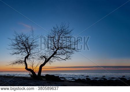 Amazingly Beautiful Winter Sea Coast At Sunset, Curved Coast Line With Forest In The Background, Bea