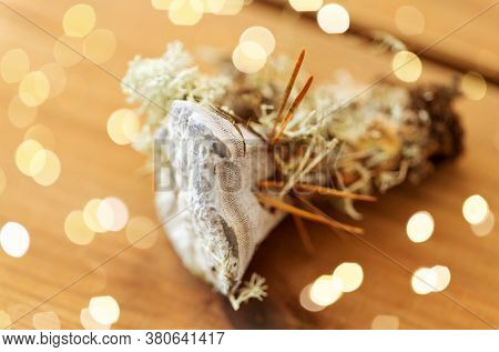 nature, inedible mushrooms and environment concept - hydnellum fungus on wooden background