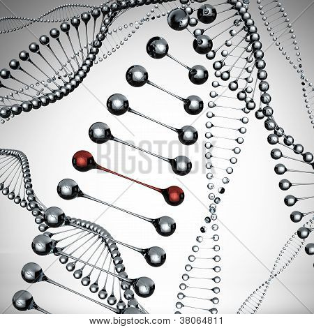 Models of the dna molecule