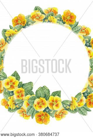 Wreath Frame Of Yellow Primrose Flowers. Hand Painted Botanical Floral Illustration. Can Be Used For