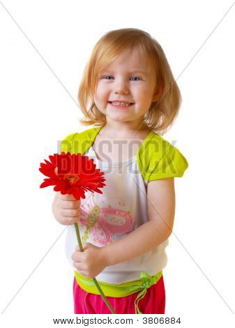 Liten flicka med blomma isolerad på vit
