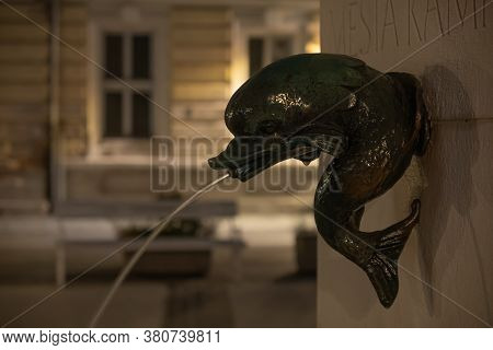 Kamnik, Slovenika - August 2, 2020: Detail Of A Fountain In The Old Town Of Kamnik By Night