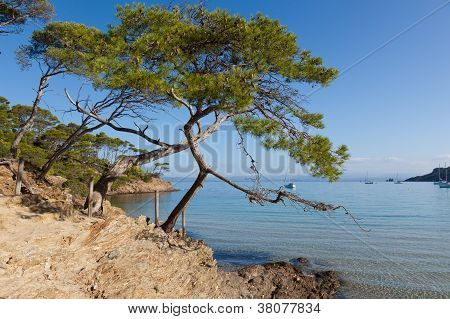 Porquerolles-szigetét, Franciaország