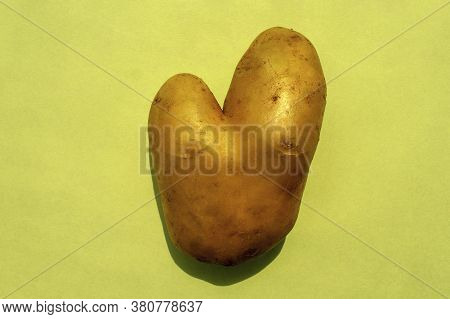Wonky, Funny, Ugly Vegetable Or Food Waste Concept. Ugly Potato In Heart Shape On Light Green Backgr