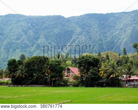 Pulau Samosir, Lake Toba, Sumatra, Indonesia, January 14, 2018: Rice Field Next To A House In A Vall