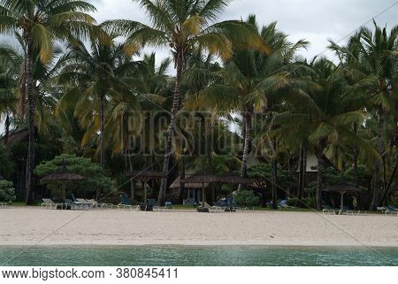 Mauritius Island Palm Trees In A Resorts Garden With Green Gras And A Hammock