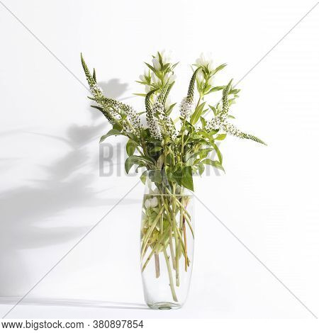 A Bouquet Of White Veronica With White Bells In A Tall Narrow Vase On A White Background.