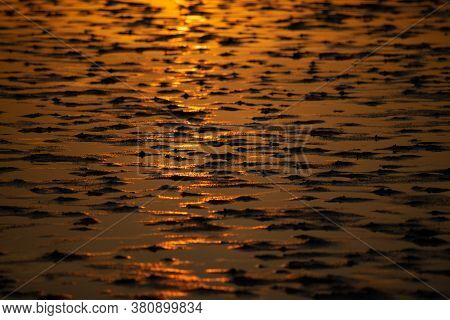 Close-up Of A Mudflap At Low Tide In The Light Of A Sunset.
