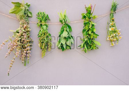 Herbs Hanging On A Rope For A Herbal Tea. Herbal Tea Ingredients. Autumn Harvesting Concept.copy Spa