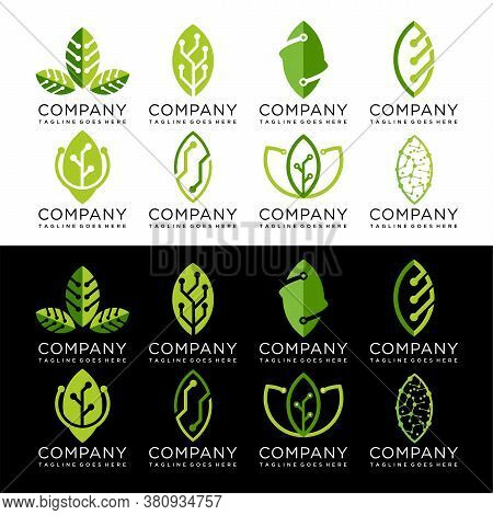 Set Of Green Leaf Technology Logo Design, Eco Tech Logo Template Design Vector Emblem Concept Design