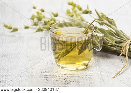 Glass Cup Of Herbal Sage Tea With Dried Sage Leaves On White Wooden Rustic Background. Herbal Tea Ho