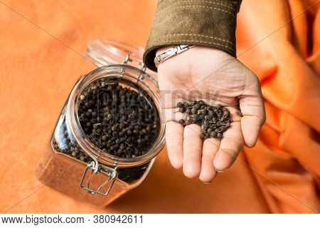 Female Hand Holding Cubebs Spice, Natural And Organic