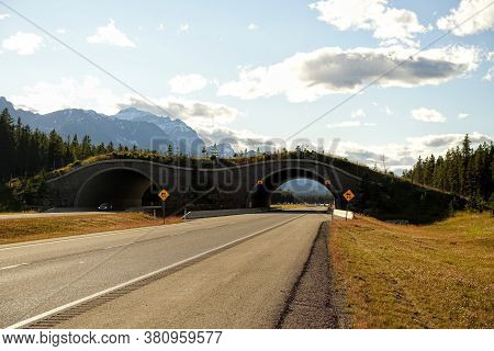 A Photo Of A Wildife Crossing Or Bridge, An Overpass Over A Highway Outside Of Banff, Alberta, Canad