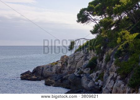 Roca Y Verde