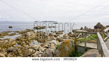 Rocas Y Puente