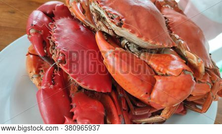 Boiled Stone Crab Body Builder. Cheliped Of The Crab, Prepared Raw Shell Animal At Homemade Gourmet 