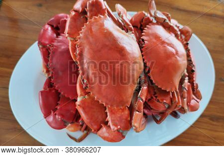 Group Of Boiled Stone Crab Body Builder. Cheliped Of The Crab Serving On Light Blue Plate, Prepared 