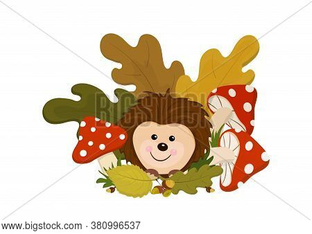 Fabulous Vector Illustration With A Kind Hedgehog, Autumn Leaves And Bright Fly Agarics