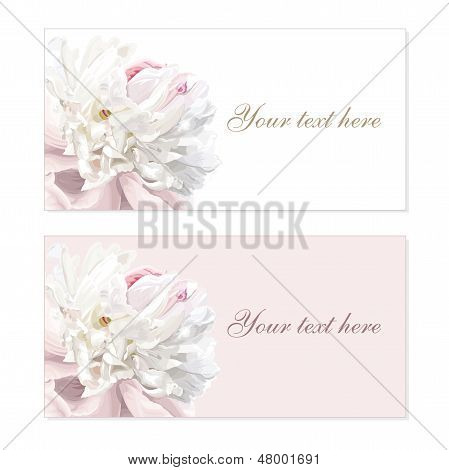 Peony çiçek tebrik kartları kümesi