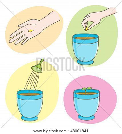 Genç bitki vektör Illistration.