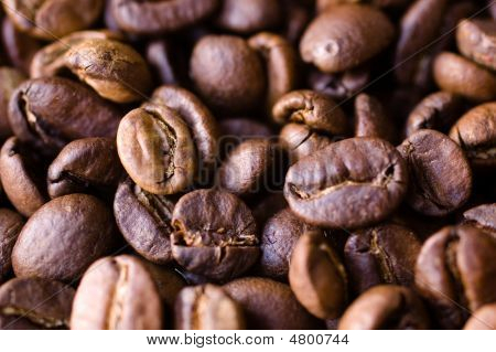 Grãos de café - foco
