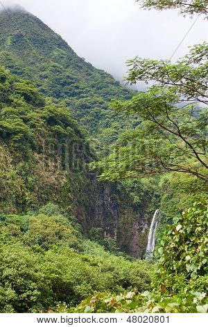 在雾和瀑布山。波利尼西亚。大溪地