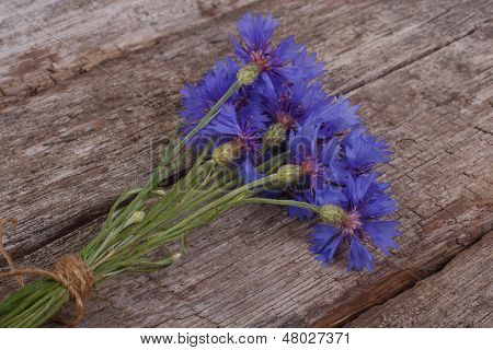 bouquet of wild cornflowers