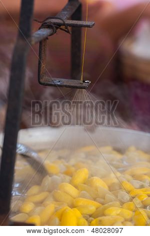 Silk Making
