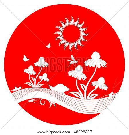 Flowers And Insects
