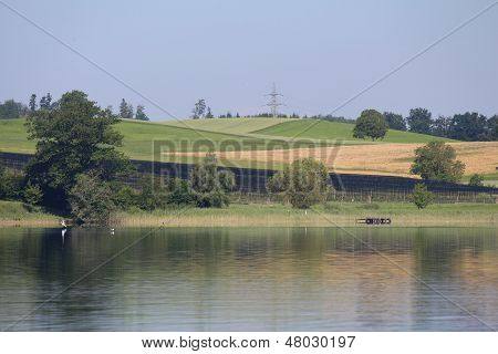 Campi colorati In Svizzera