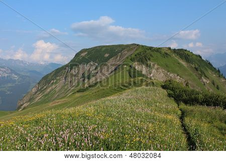 Wilerhorn, Mountaun vedle Brienzer Rothorn