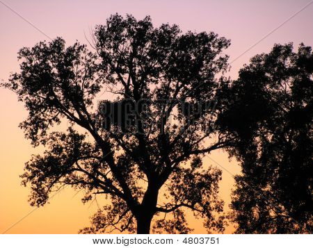 Puesta de sol